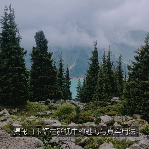 揭秘日本語在影视中的魅力与真实用法高清海报