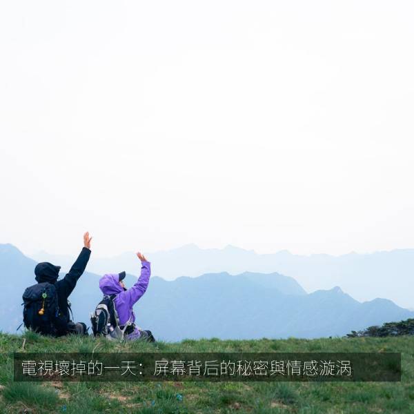 電視壞掉的一天：屏幕背后的秘密與情感漩涡相关影视海报